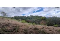 Lotes, Venta, Dagua - $260.000.000