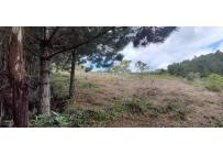 Lotes, Venta, Dagua - $260.000.000