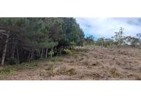 Lotes, Venta, Dagua - $260.000.000