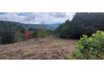 Lotes, Venta, Dagua - $260.000.000