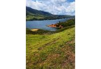 Lotes, Venta, Calima (Darién) - $770.000.000
