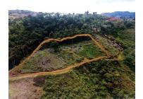 Lotes, Venta, Calima (Darién) - $1.166.000.000
