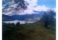 Lotes, Venta, Calima (Darién) - $605.000.000