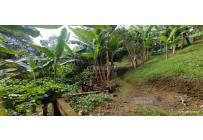 Fincas y Casas Campestres, Venta, Dagua - $550.000.000