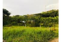 Lotes, Venta, Cartago - $650.000.000