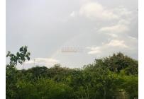 Lotes, Venta, Cartago - $650.000.000