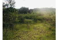 Lotes, Venta, Cartago - $650.000.000