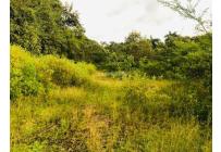 Lotes, Venta, Cartago - $650.000.000