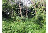 Lotes, Venta, Cartago - $650.000.000