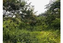 Lotes, Venta, Cartago - $650.000.000