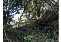 Lotes, Venta, Cartago - $650.000.000