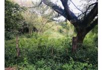 Lotes, Venta, Cartago - $650.000.000