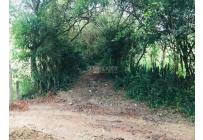 Lotes, Venta, Cartago - $650.000.000