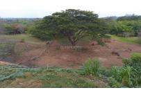 Fincas y Casas Campestres, Venta, Jamundí - $18.000.000.000