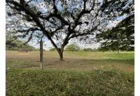 Fincas y Casas Campestres, Venta, Jamundí - $18.000.000.000