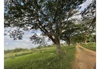 Fincas y Casas Campestres, Venta, Jamundí - $18.000.000.000