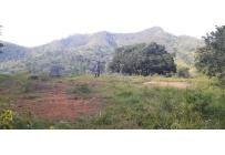Lotes, Venta, Pance - $390.000.000