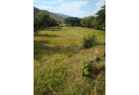 Lotes, Venta, Yotoco - $950.000.000