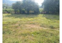 Lotes, Venta, Yotoco - $950.000.000