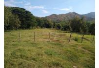 Lotes, Venta, Yotoco - $950.000.000