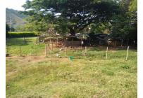 Lotes, Venta, Yotoco - $950.000.000