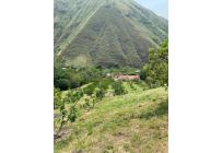Fincas y Casas Campestres, Venta, Vijes - $600.000.000