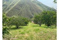 Fincas y Casas Campestres, Venta, Vijes - $600.000.000