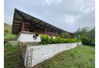 Fincas y Casas Campestres, Venta, Vijes - $600.000.000