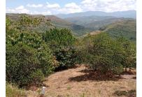 Lotes, Venta, Jamundí - $270.000.000