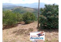 Lotes, Venta, Jamundí - $270.000.000