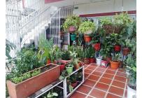 Edificios, Venta, Primitivo Crespo - $690.000.000