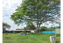 Lotes, Venta, Ginebra - $450.000.000