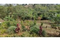 Casas, Venta, Jamundí - $450.000.000