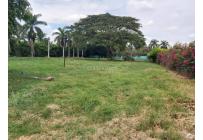 Lotes, Venta, Ginebra - $350.000.000