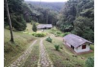 Fincas y Casas Campestres, Venta, Dapa - $650.000.000