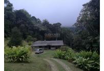 Fincas y Casas Campestres, Venta, Dapa - $650.000.000