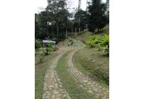 Fincas y Casas Campestres, Venta, Dapa - $650.000.000