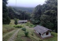 Fincas y Casas Campestres, Venta, Dapa - $650.000.000