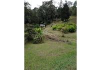 Fincas y Casas Campestres, Venta, Dapa - $650.000.000