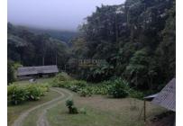 Fincas y Casas Campestres, Venta, Dapa - $650.000.000