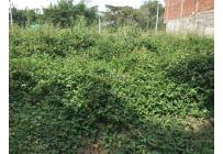 Lotes, Venta, Jamundí - $55.000.000
