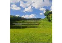 Lotes, Venta, Pereira - $600.000.000