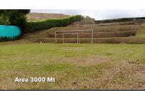 Lotes, Venta, Pereira - $600.000.000
