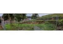 Lotes, Venta, Dagua - $119.600.000