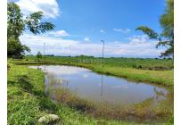 Lotes, Venta, Jamundí - $165.000.000