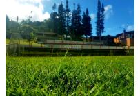 Casas, Venta, Felidia - $1.250.000.000