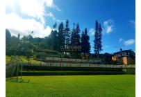 Casas, Venta, Felidia - $1.250.000.000