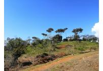 Lotes, Venta, Jamundí - $338.489.000