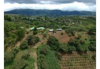 Fincas y Casas Campestres, Venta, Dagua - $620.000.000