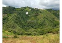 Fincas y Casas Campestres, Venta, Dagua - $620.000.000